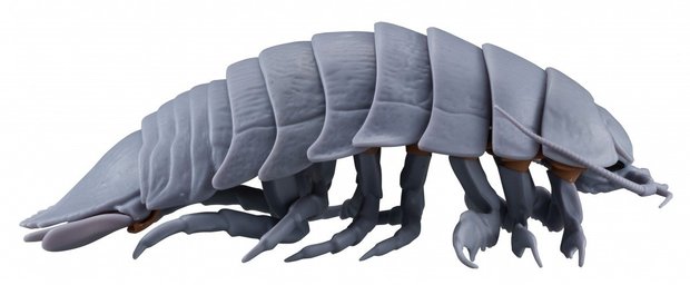 ガシャポン「だいおうぐそくむし」