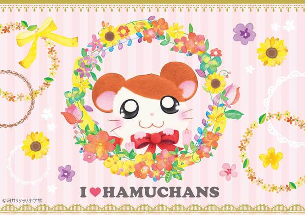 I LOVE HAMUCHANS