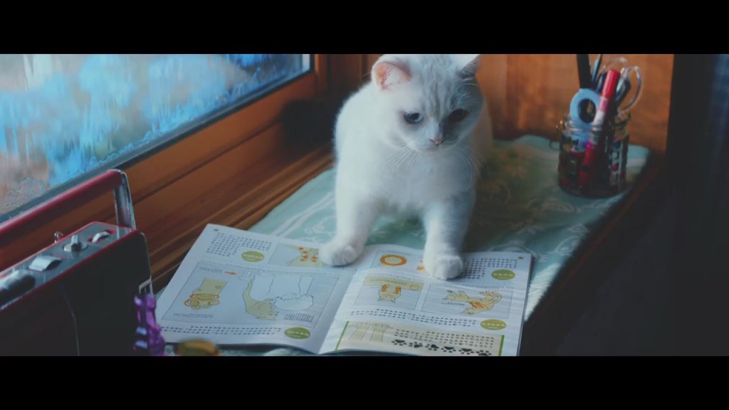 ねこ動画 可愛いのに泣ける 猫たちがお婆ちゃんを喜ばせるために内緒で勉強 トピックス Kai You Net