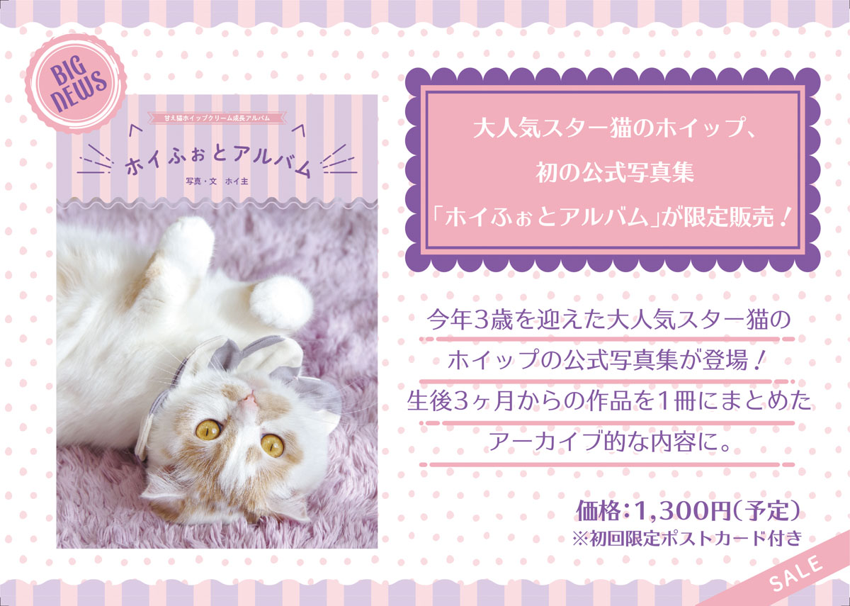 ホイップ写真集_紹介POP