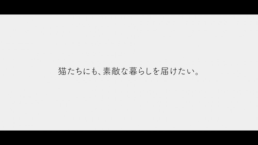 「#猫タワマン CAT TOWER PROJECT」場面画像