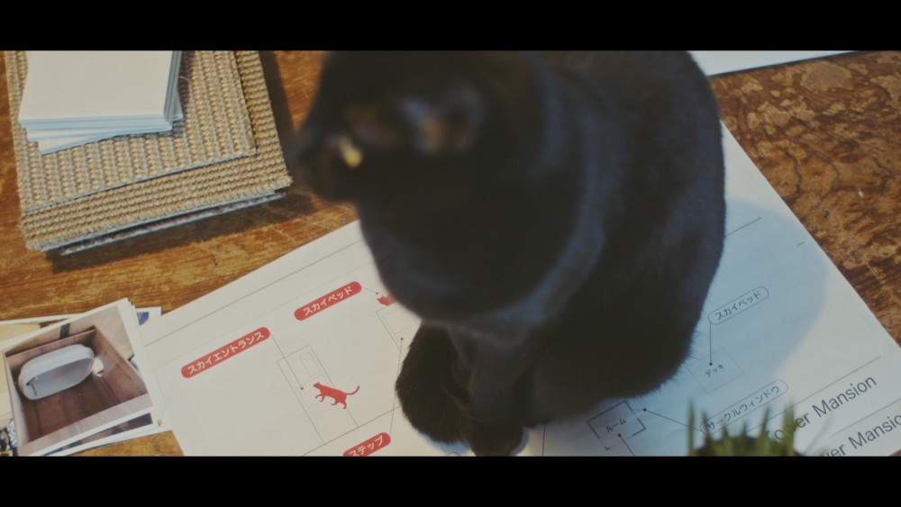 「#猫タワマン CAT TOWER PROJECT」場面画像