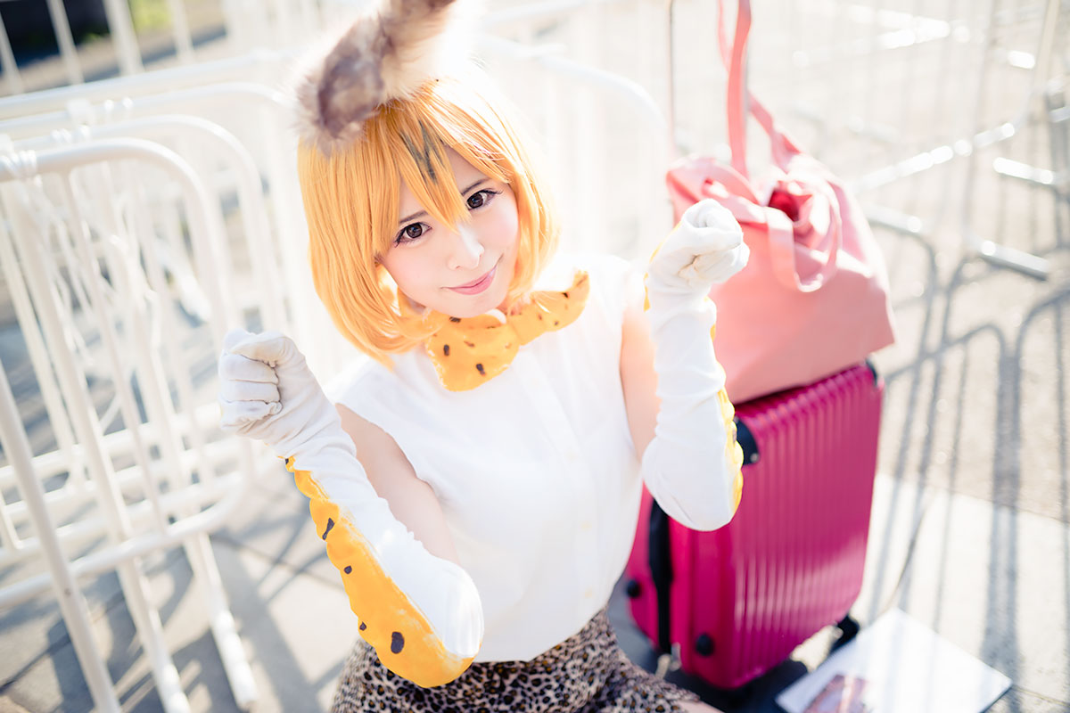 超会議2017_コスプレイヤー_たなかあいこさん（『けものフレンズ』サーバル）