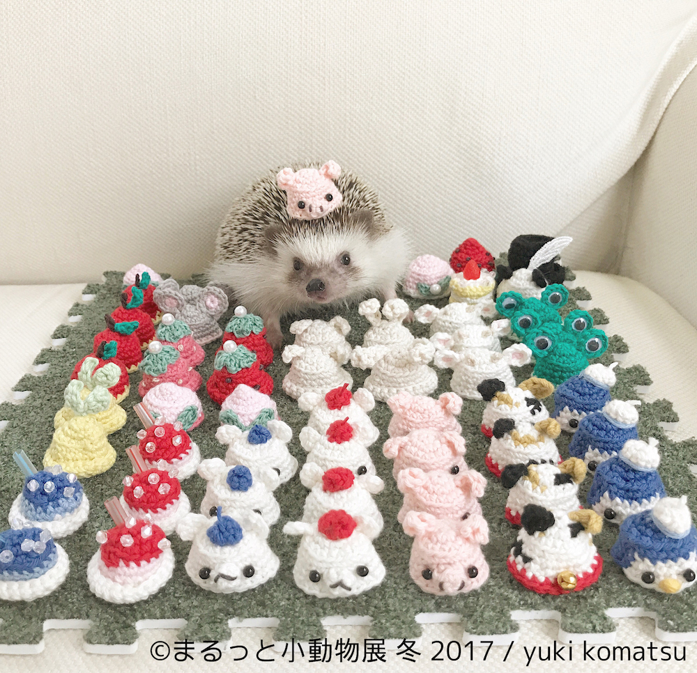 まるっと小動物展 冬 2017