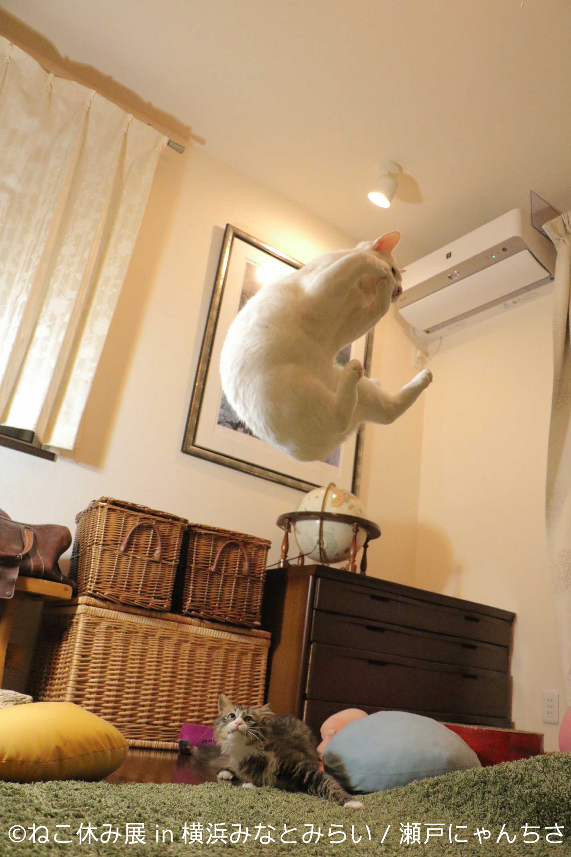 瀬戸にゃんちささん