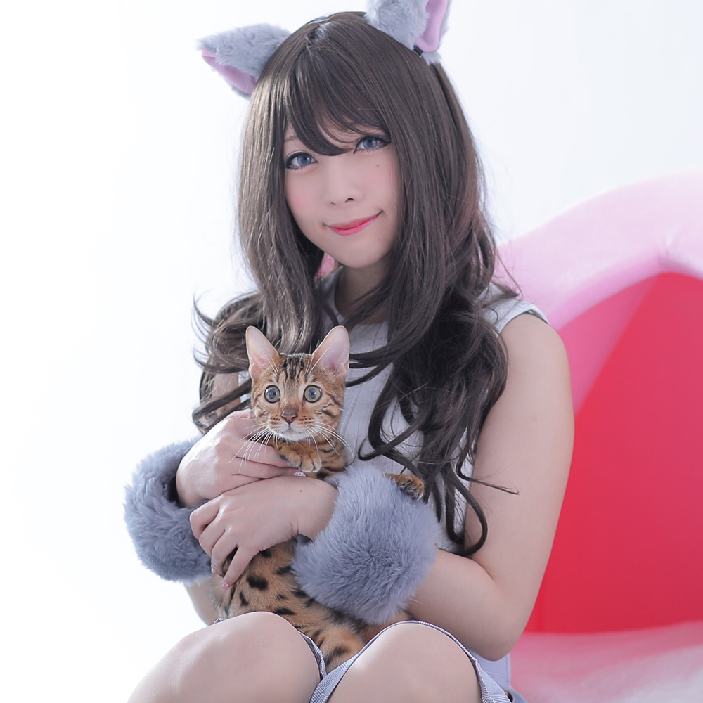 こりゃ至福だわ