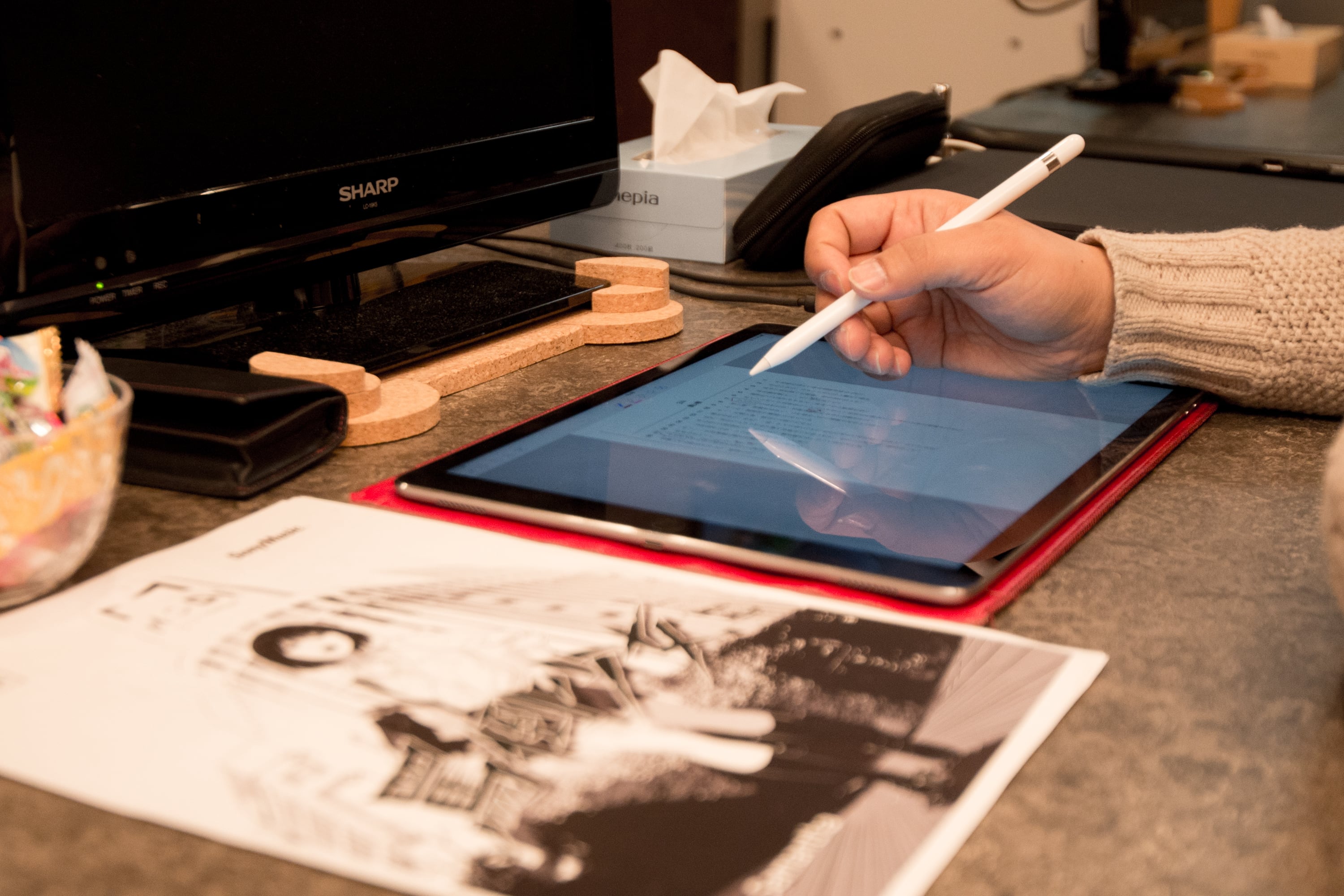 「罵倒少女：素子」再び