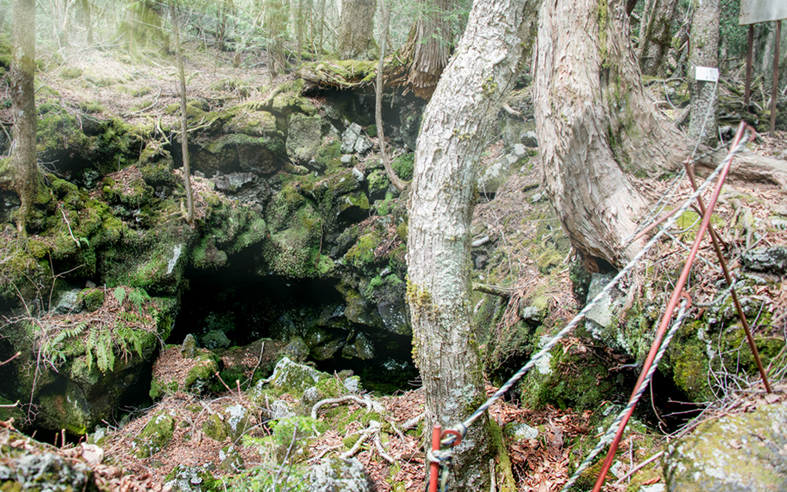 仕事で疲れたら樹海へ行こう！　森林浴と洞窟探検が最高の癒しだった