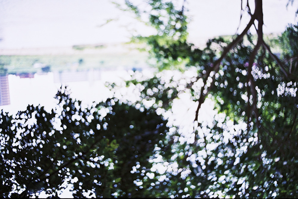 （撮影：飯田エリカ）