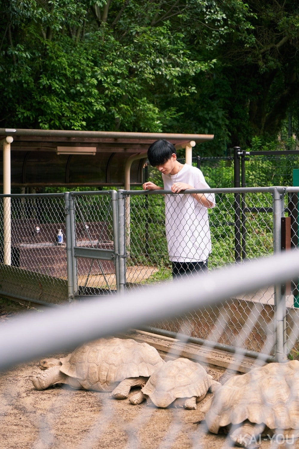 さなり／至津の森公園