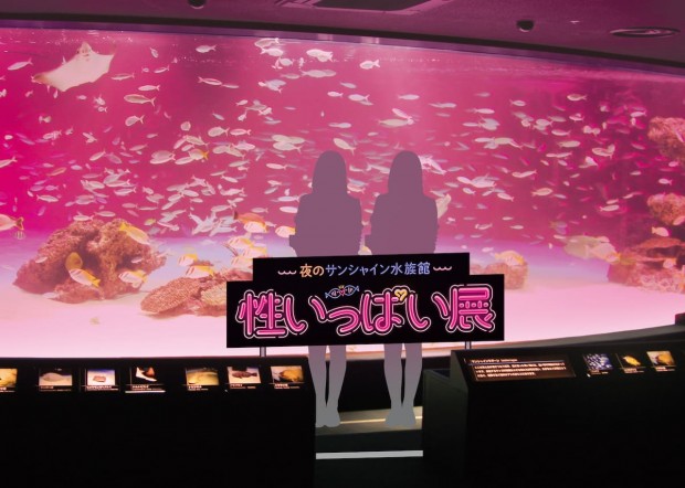 「性いっぱい展」フォトスポット