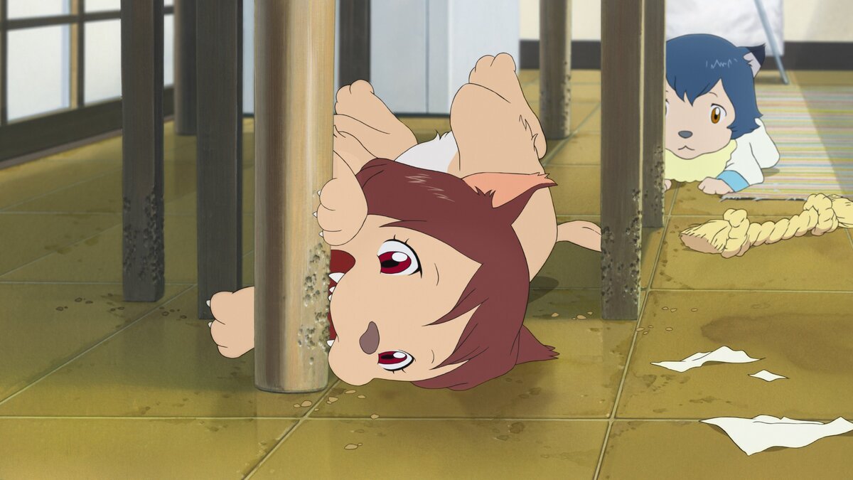 スタジオ地図 おおかみこどもの雨と雪