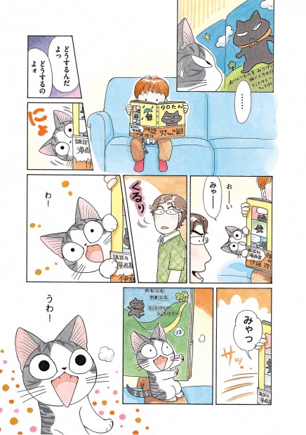 こなみかなた『チーズスイートホーム』(c) Konami Kanata / Kodansha Ltd.