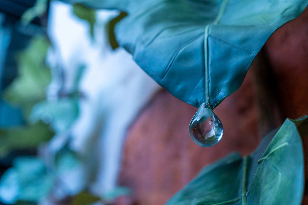 ジブリの大倉庫 小人の庭①