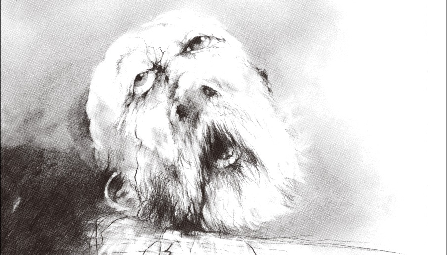 『スケアリーストーリーズ 怖い本』Jungleyman_sns