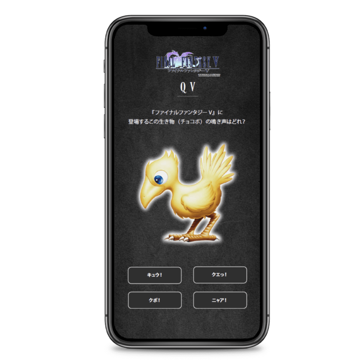 FFUT クイズ企画