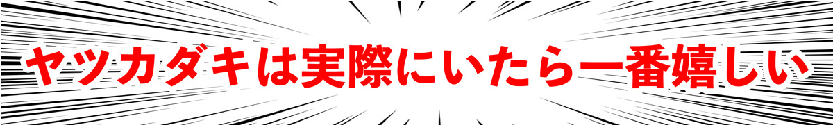『モンハンライズ』現実で狩るのが大変なモンスターは？ みんぱくの狩猟研究者に聞いてみた
