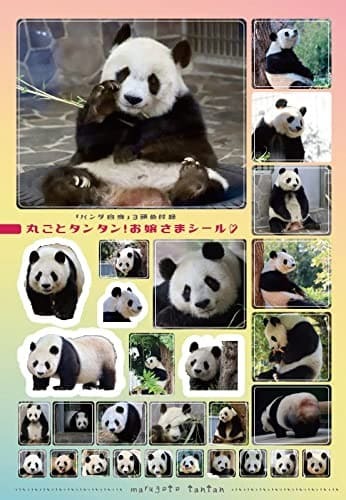 『パンダ自身 3頭め』