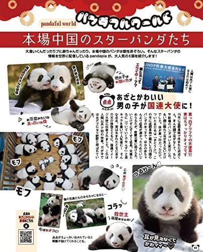 『パンダ自身 3頭め』