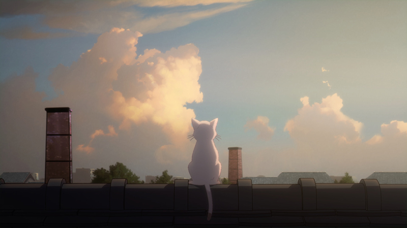 『泣きたい私は猫をかぶる』主題歌「花に亡霊」MV画像