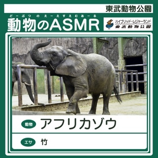 東武動物公園ASMR