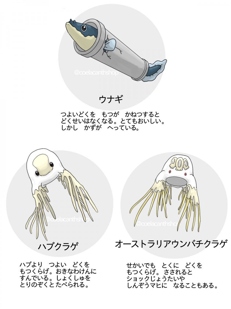 ウミのモンスター