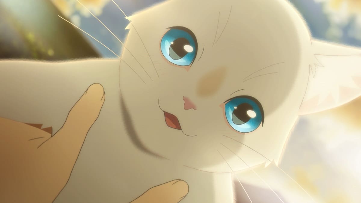『泣きたい私は猫をかぶる』