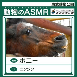 東武動物公園ASMR