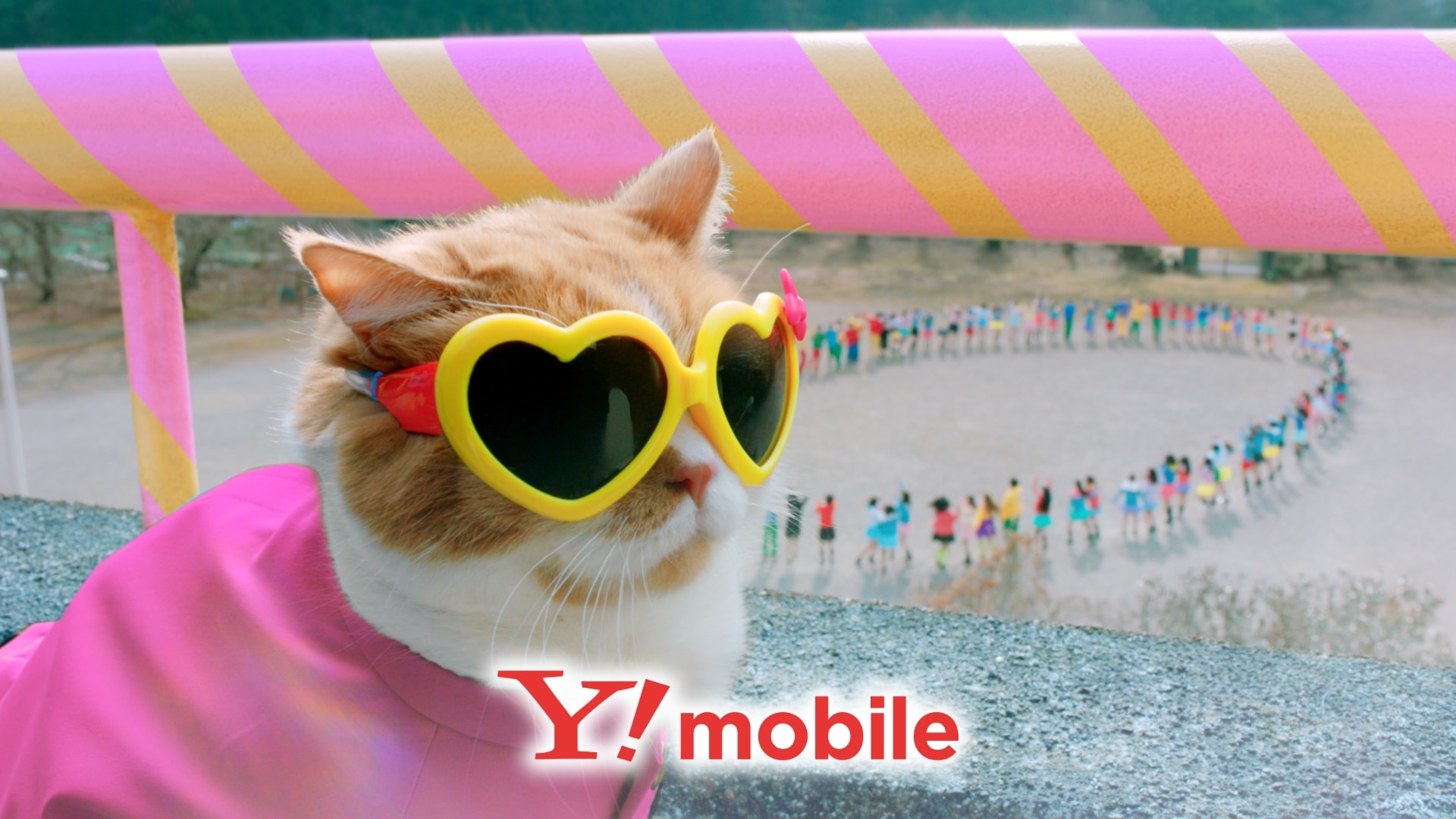 TWICE出演ワイモバイルCM「転校生」篇13