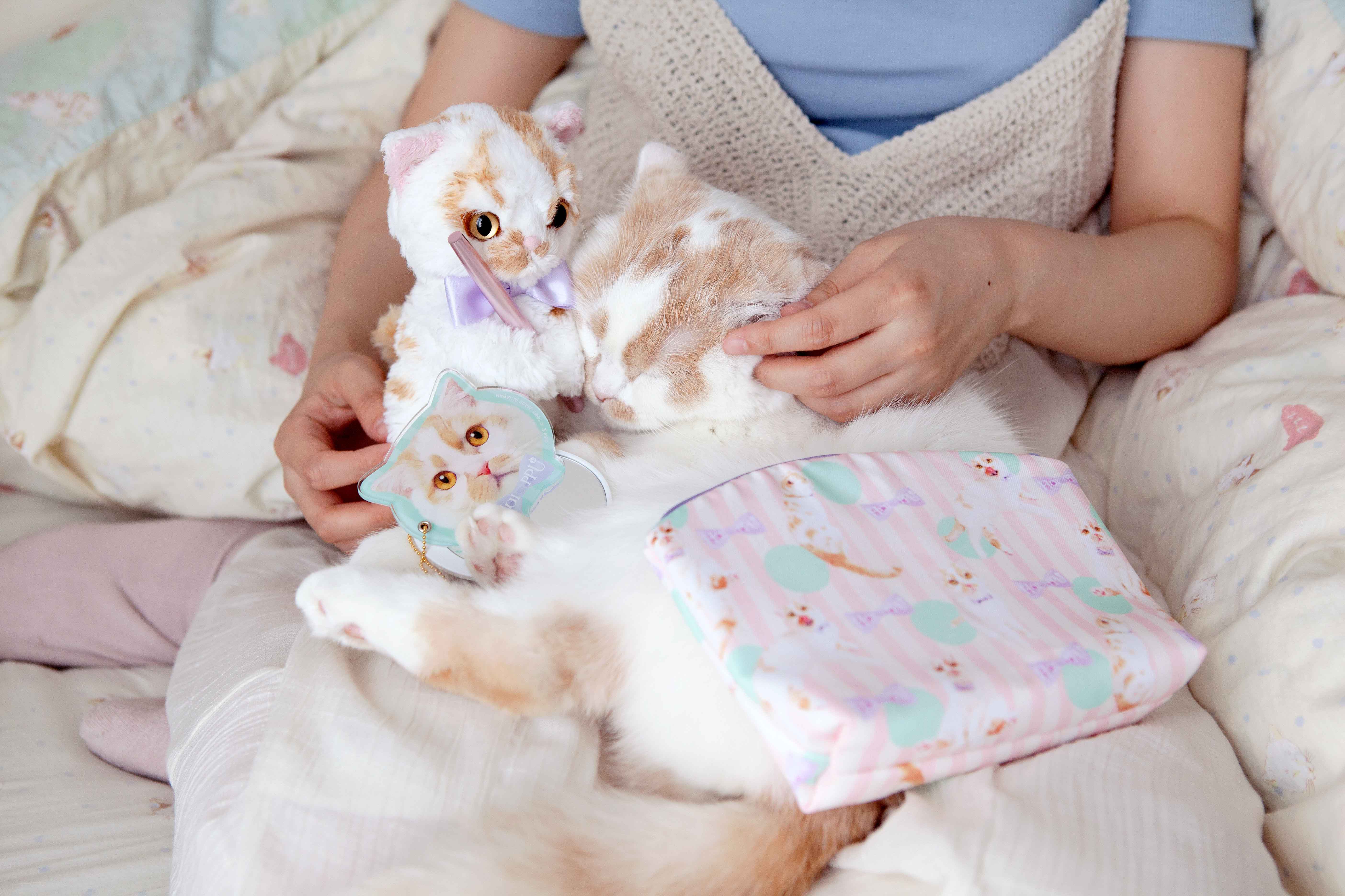 ホイちゃんカット3