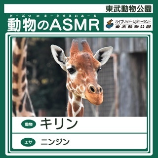 東武動物公園ASMR