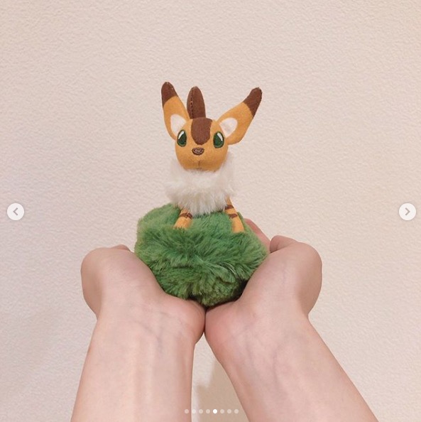 画像はどんぐり共和国公式Instagramから