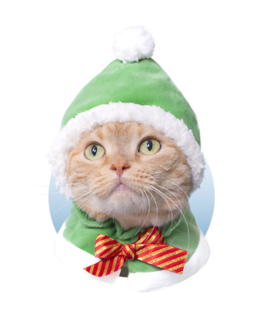 かぶりものホワイトクリスマス