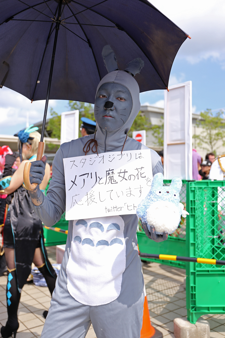 ヒトニャンさん（@MasaruIshida）／『となりのトトロ』トトロ