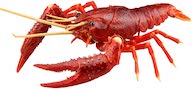 画像3: 中国の夏の風物詩「ザリガニ料理」がフィギュアに　フルコース揃えたい