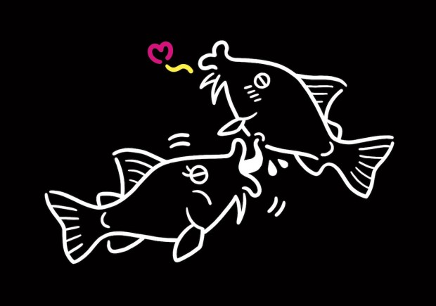 「性いっぱい展」コリドラス