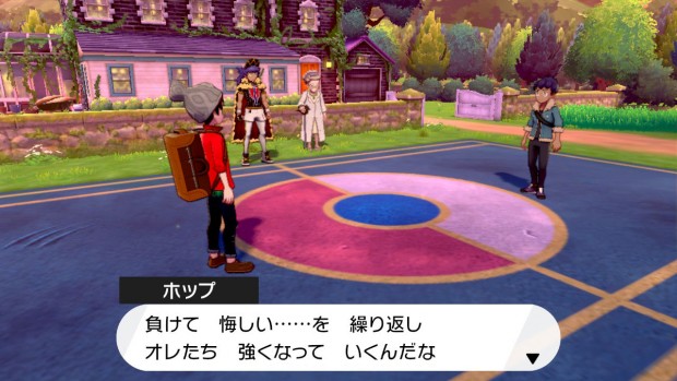 ポケモン剣盾_キャプチャ15