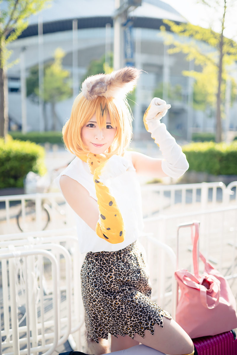 超会議2017_コスプレイヤー_たなかあいこさん（『けものフレンズ』サーバル）3