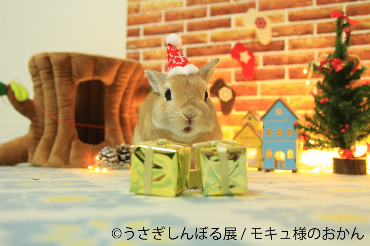 モキュ様のおかん