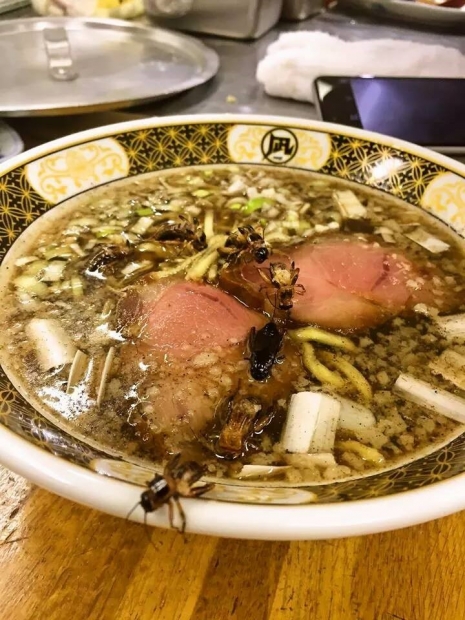 地球少年・篠原祐太のコオロギラーメン実食レポート3