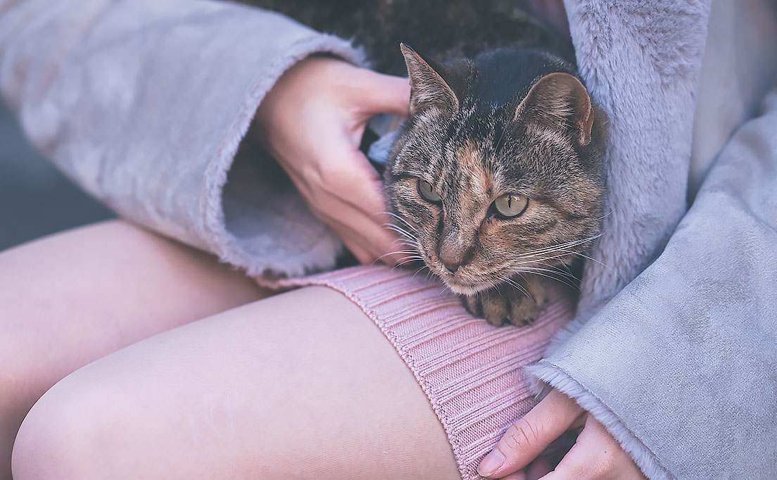 桃月なしこさん／撮影：Diora15