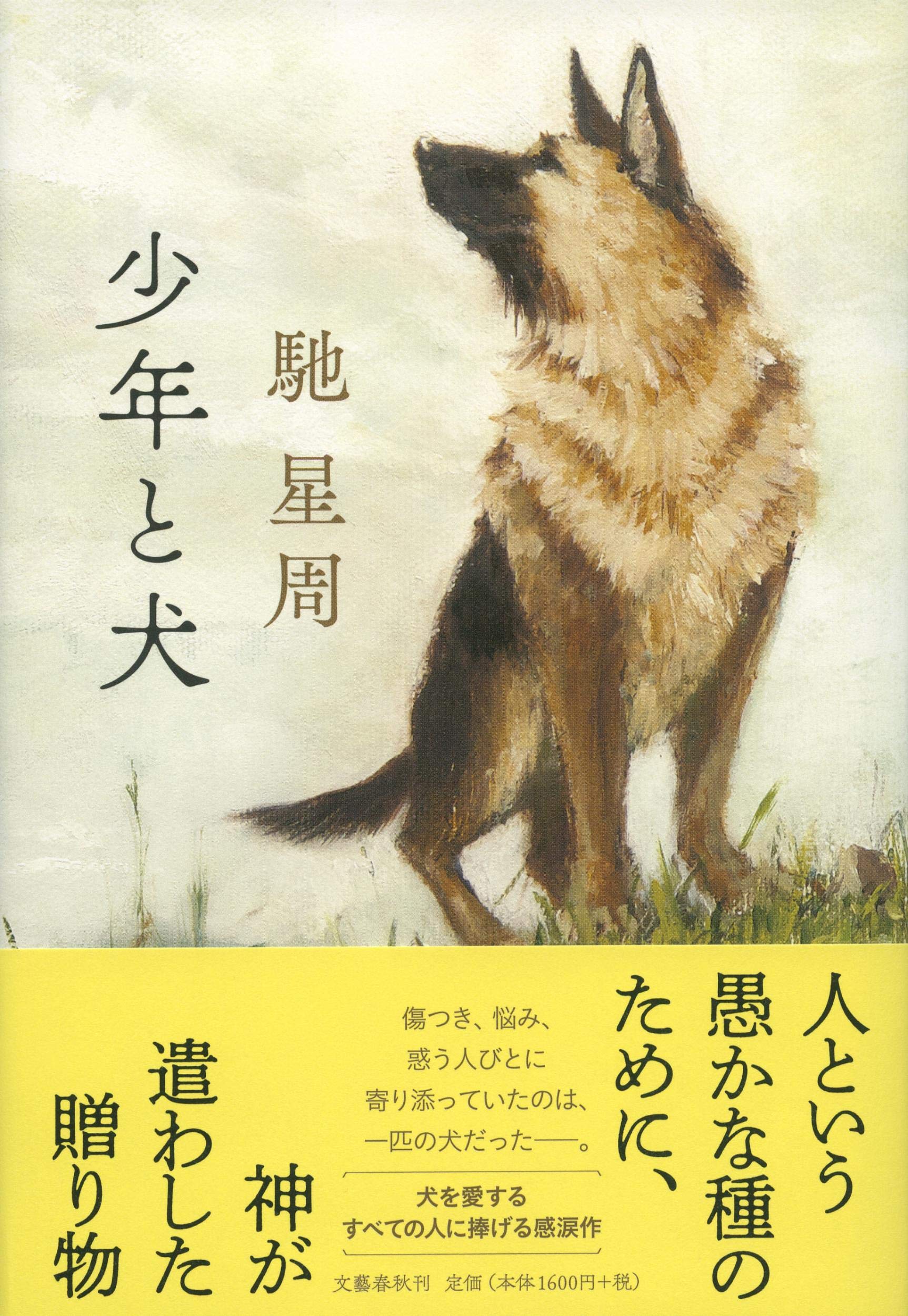 画像4: 第163回芥川賞発表　高山羽根子『首里の馬』と遠野遥『破局』がW受賞