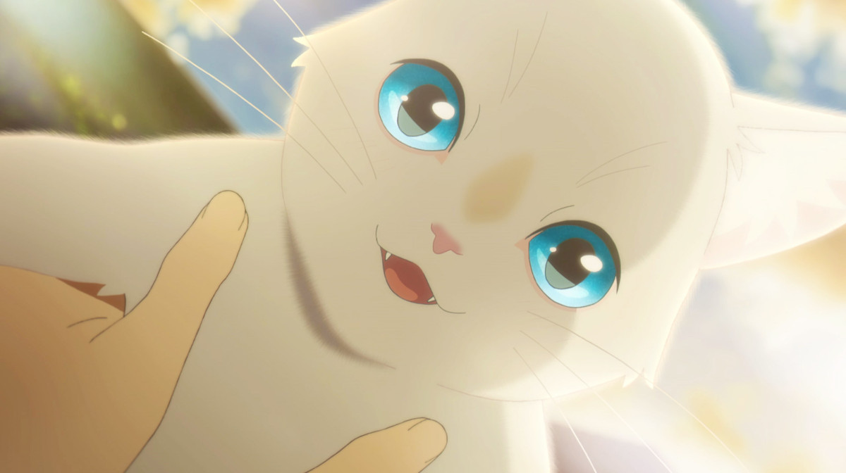 サブ3