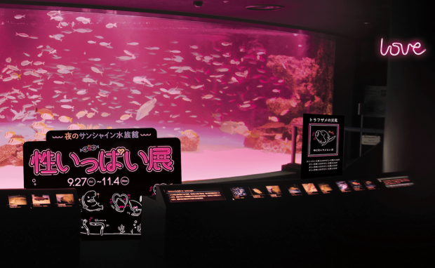 性いっぱい展