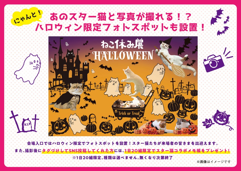(C)ねこ休み展in大阪 / フォトスポット