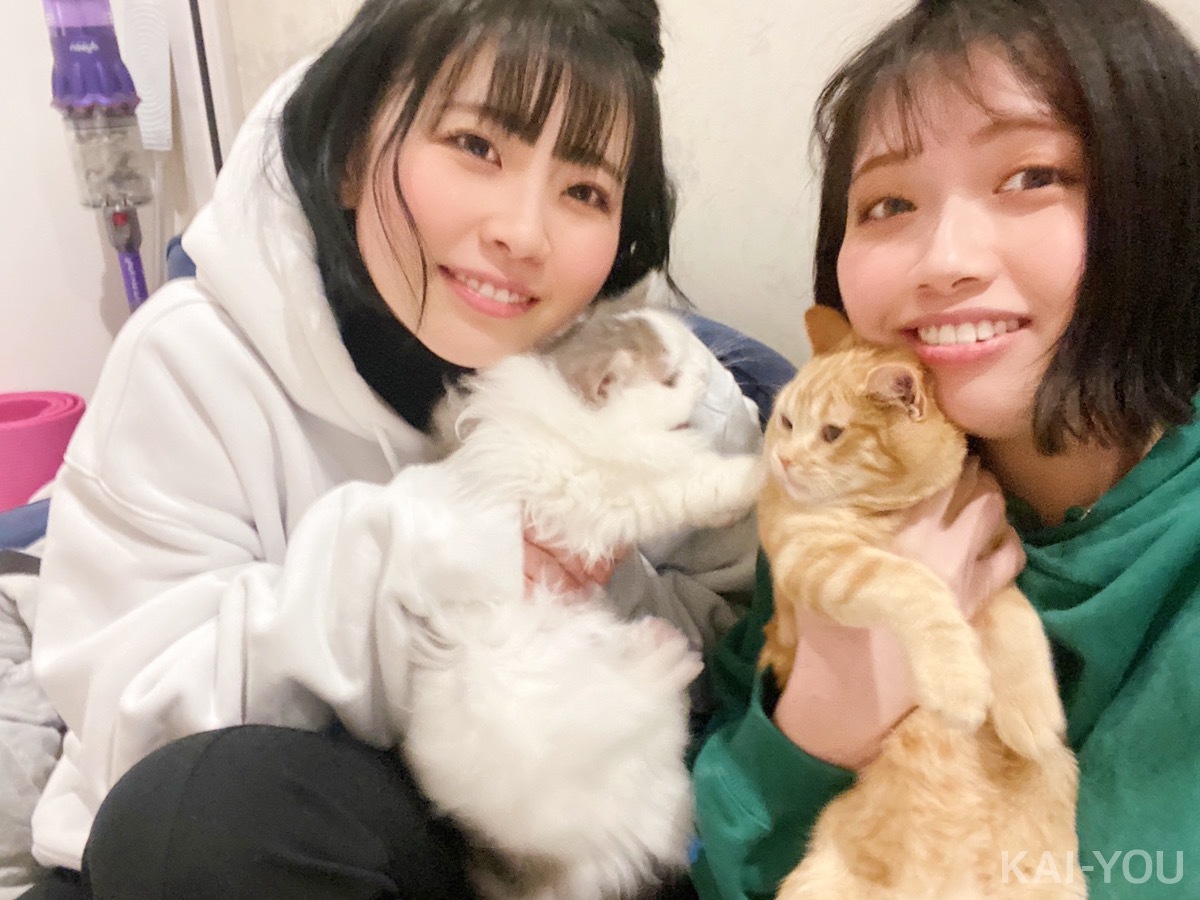 セクシー女優　石原希望さんと葵いぶきさん