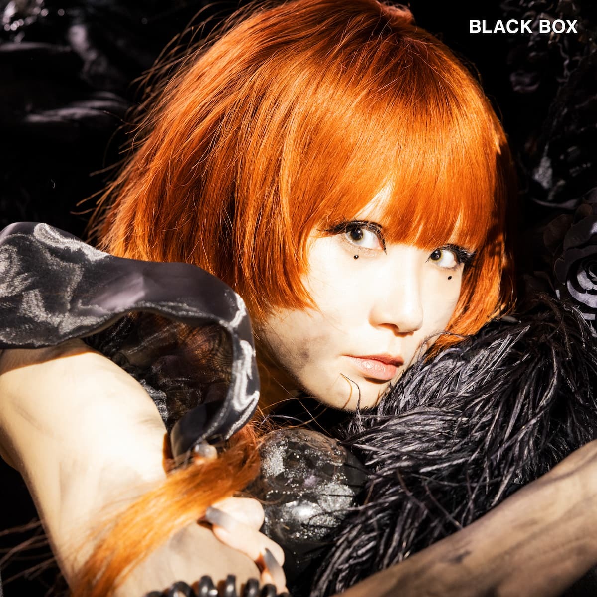 BLACK BOX 通常盤ジャケット