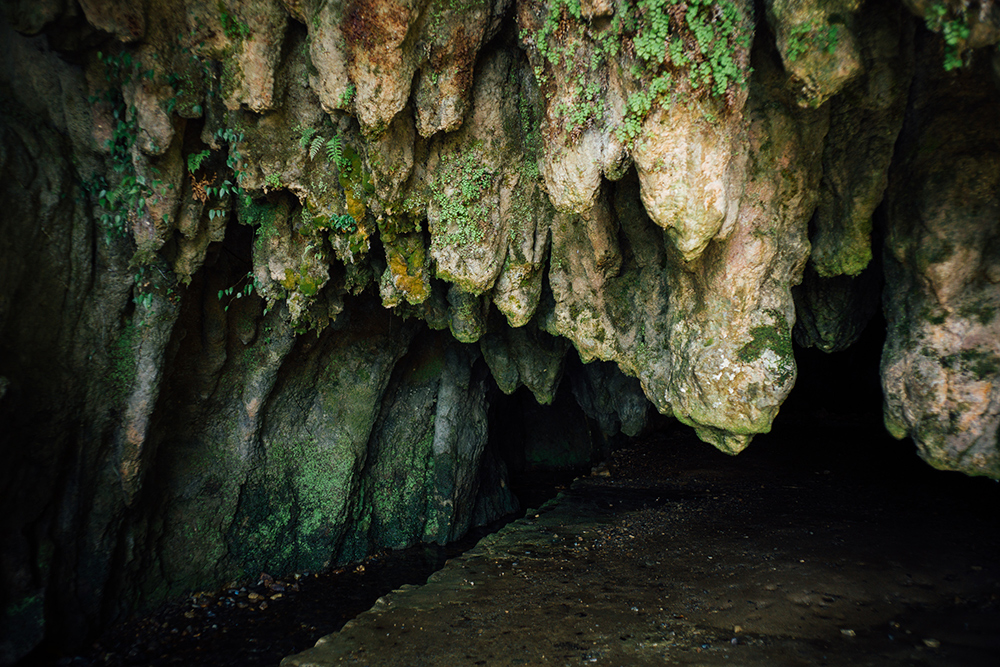 千仏鍾乳洞の入り口は、大小30余りの鍾乳石が垂れ下がる大偉観