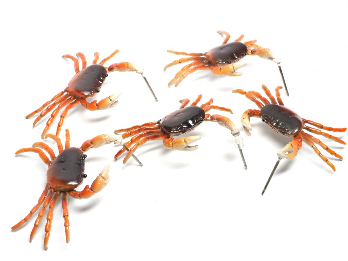 ピアス・耳ガニ