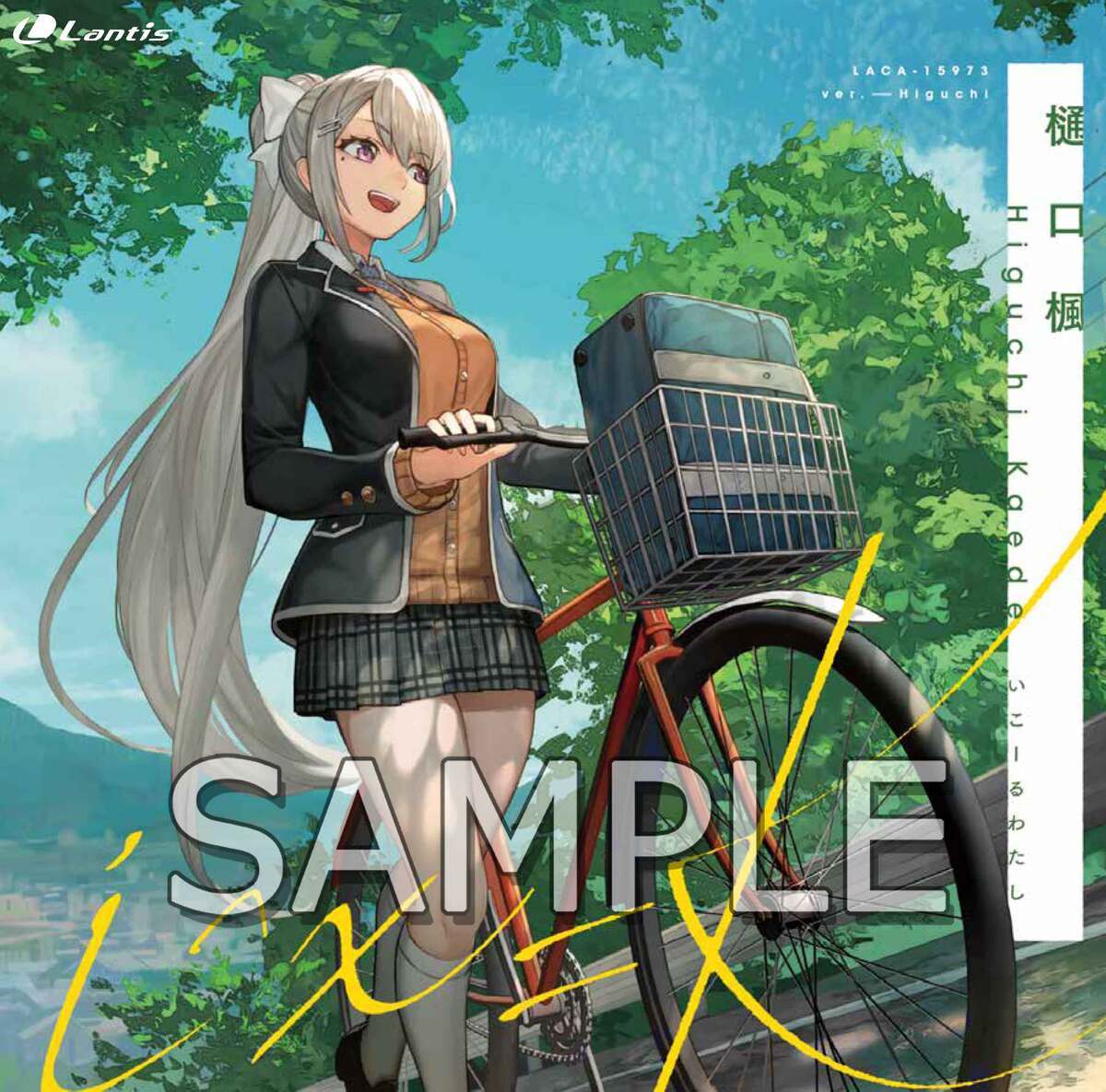 通常版 樋口盤